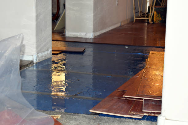 Professional Flood Cleanup technician working in Davilla, TX